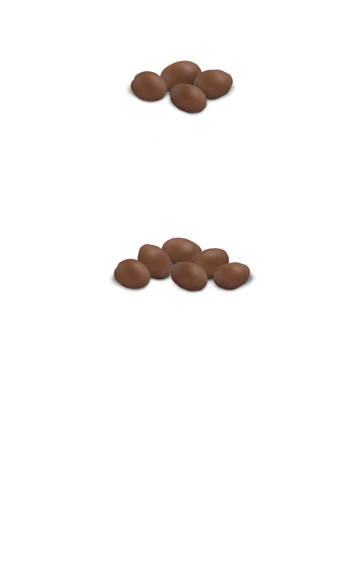 Virginia Diner, Inc. - 10 oz D. Dipped Chocolatey Peanuts