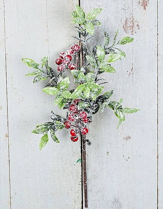 Snowy Laurel Red Berry Pick
