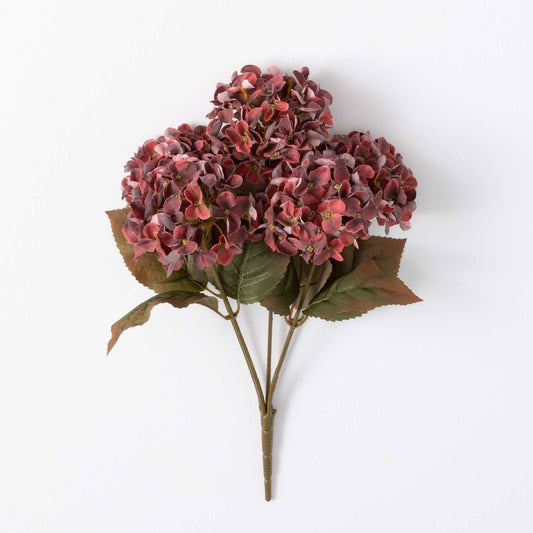 Hydrangea Bush - Maroon
