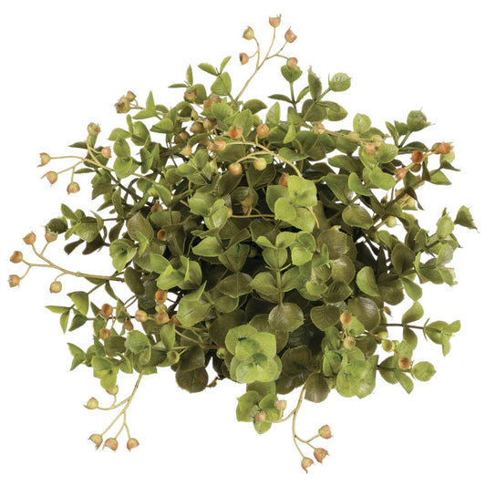 Eucalyptus Half Orb - Green