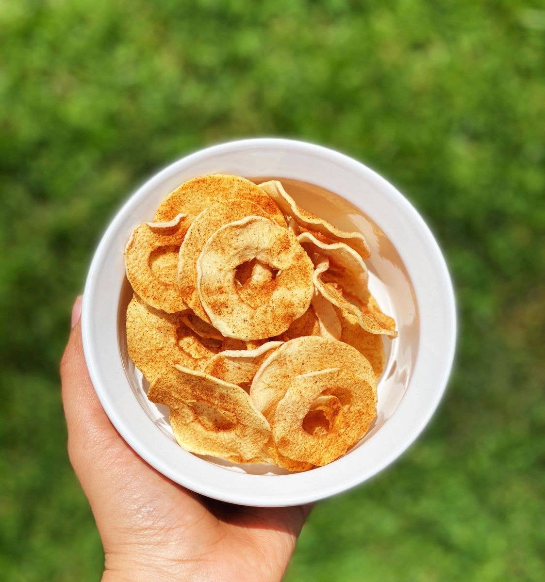 Apple Pie Chips