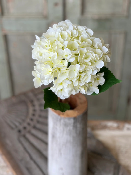 21.5" Callahan Hydrangea