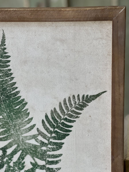 Forest Glen Fern No. 1