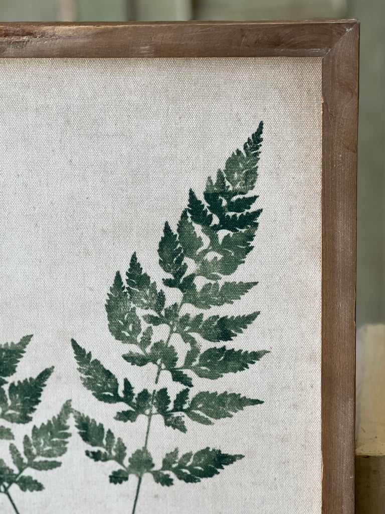 Forest Glen Fern No.2