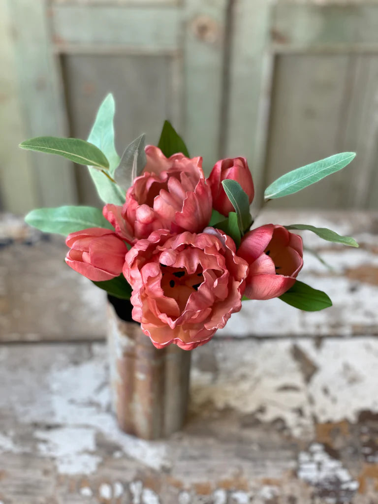 12" Grand Opening Tulip