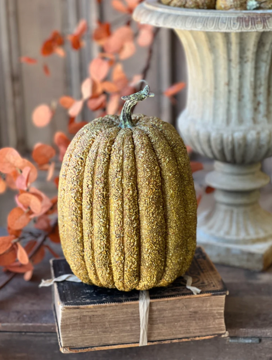 Furrowed Fields Pumpkin