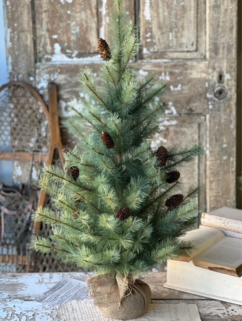 3' Whitley Pine Tree