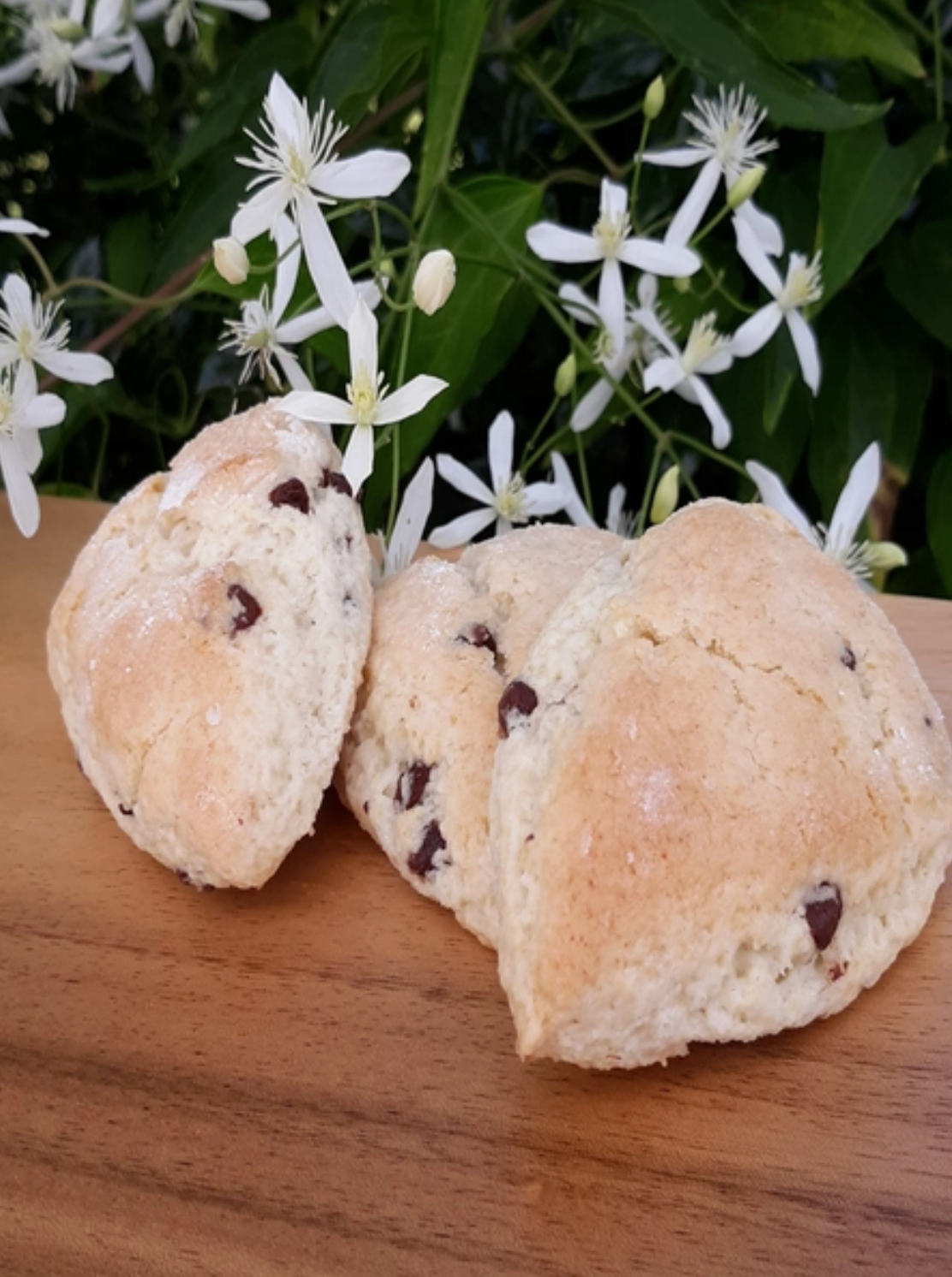 Chocolate Chip Scone Mix