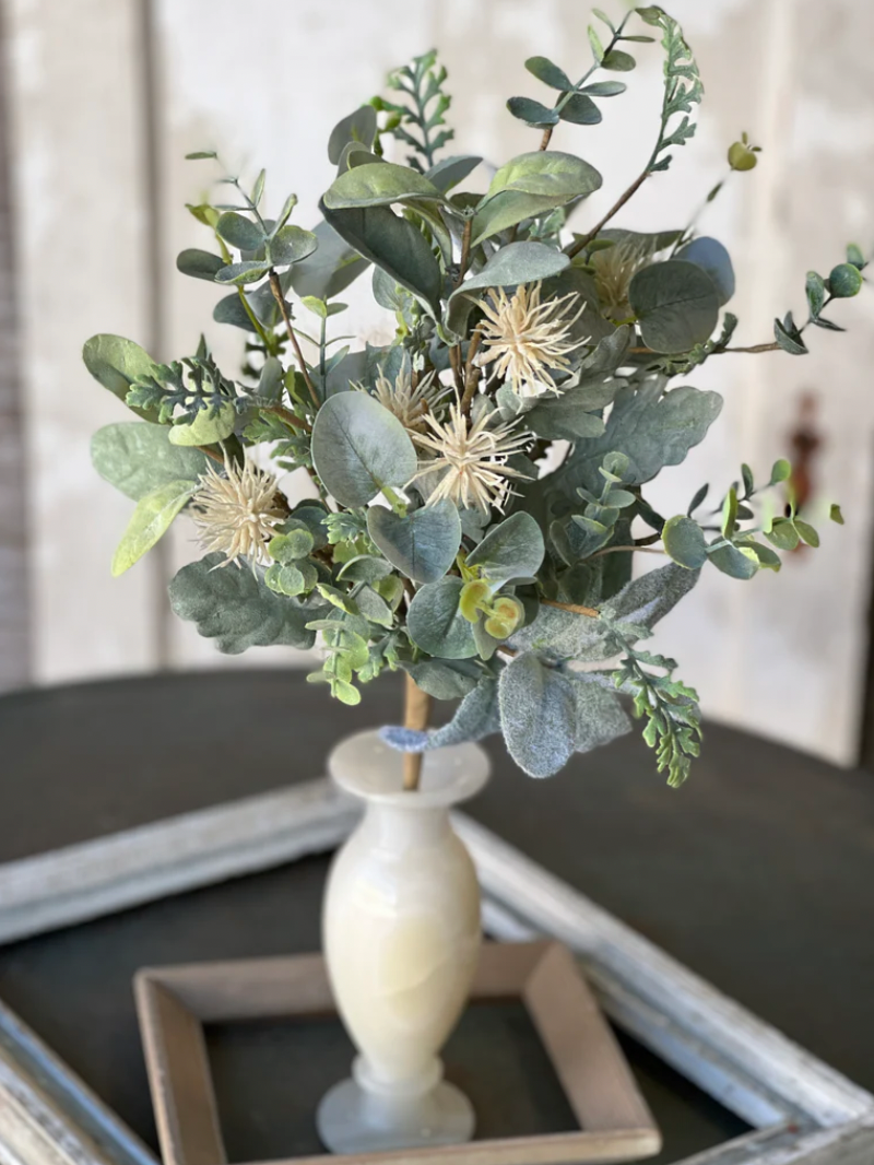 Aberdeen Sea Holly Bush | 20"