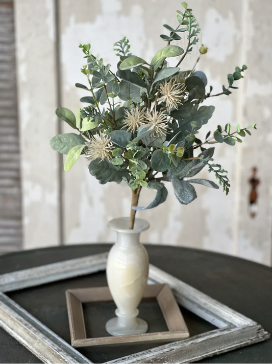 Aberdeen Sea Holly Bush | 20"