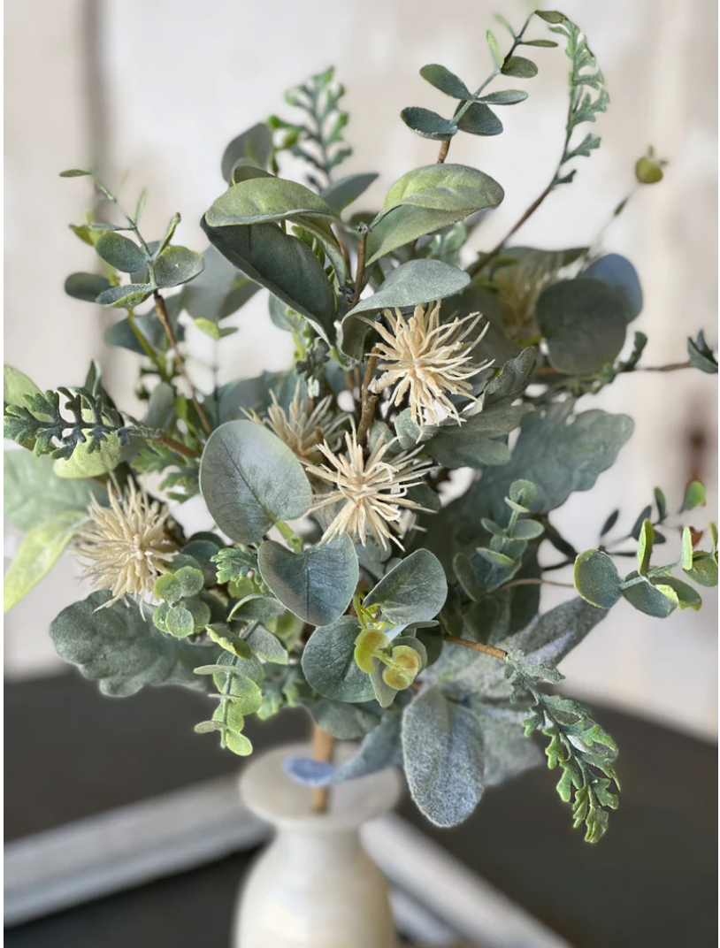 Aberdeen Sea Holly Bush | 20"