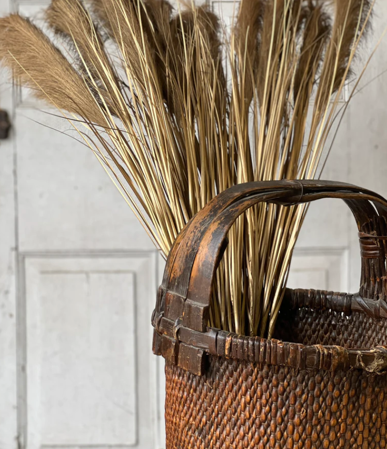 Golden Grain Stem | 42"