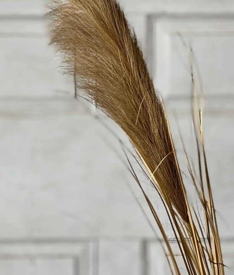 Golden Grain Stem | 42"