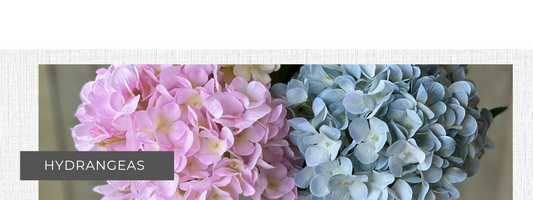 How to Build a Lifestyle You Love with Thoughtfully Curated Finds