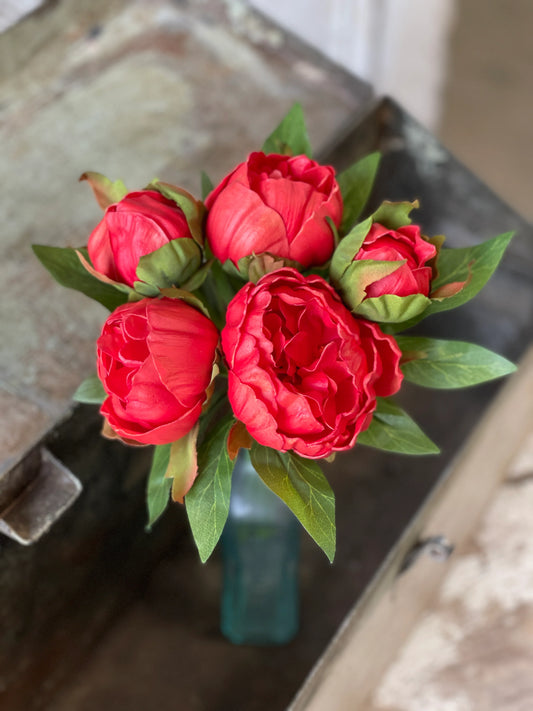 Peony Bundle  11" (Red Only)