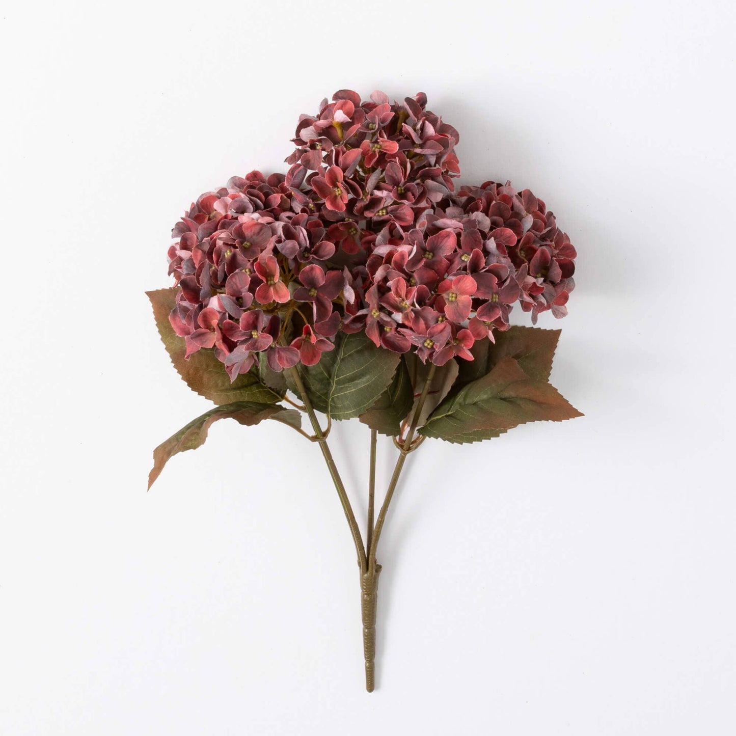 Hydrangea Bush - Maroon