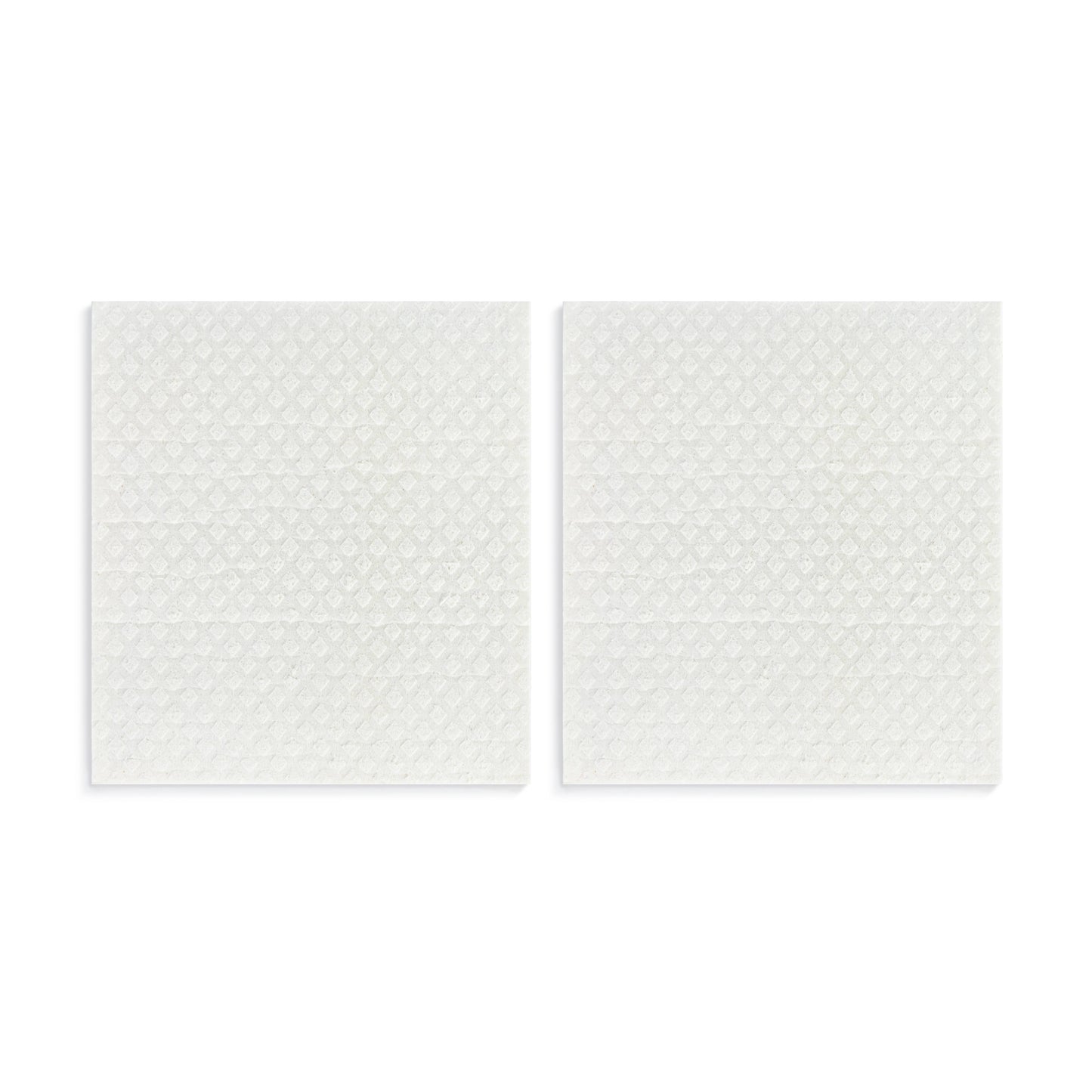 Biodegradable Dish Cloths Set of 2 - Acrylic