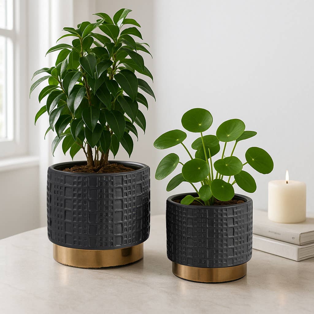 Sagebrook Home - Planter Set of 2 - Black Ceramic Raised Mesh, 6/8 in.