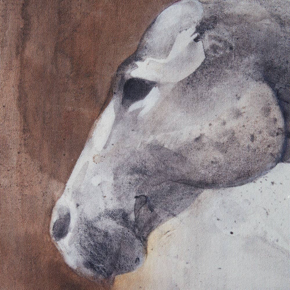 Peering Horse Wall Art