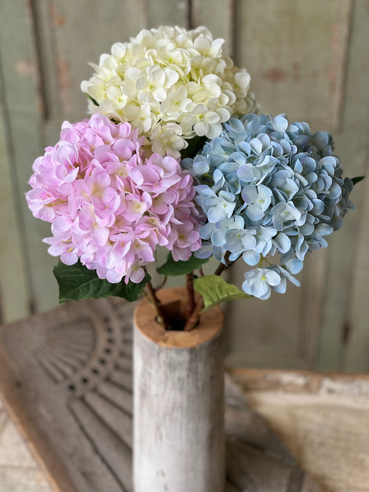 21.5" Callahan Hydrangea