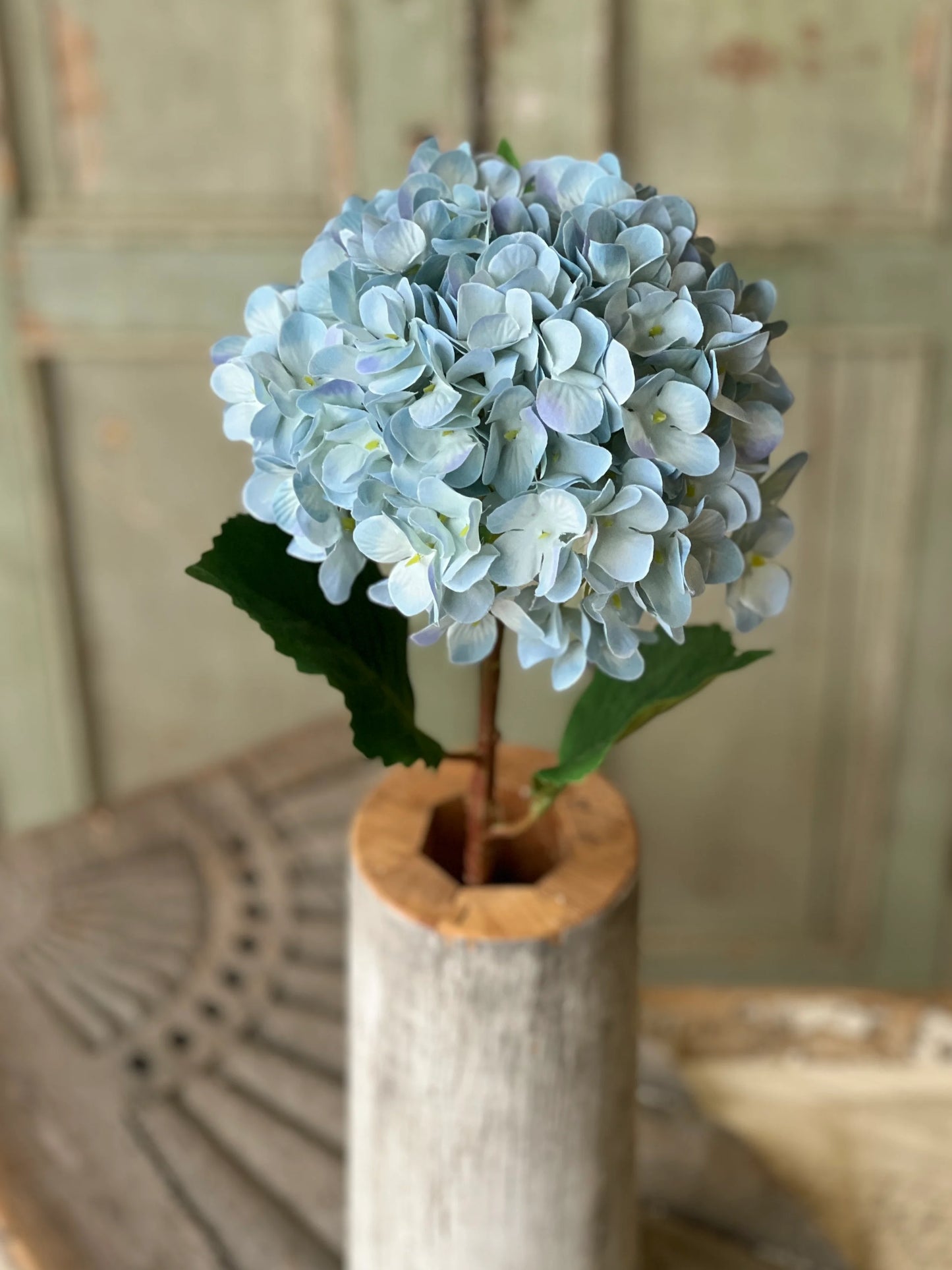 21.5" Callahan Hydrangea