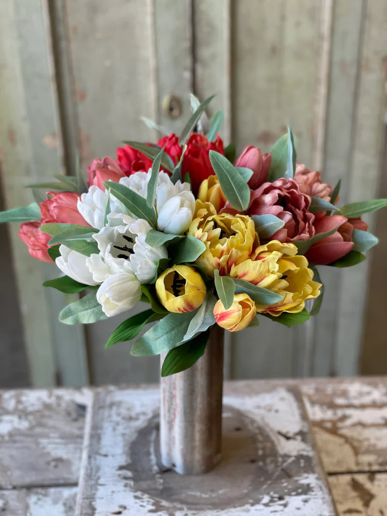 12" Grand Opening Tulip