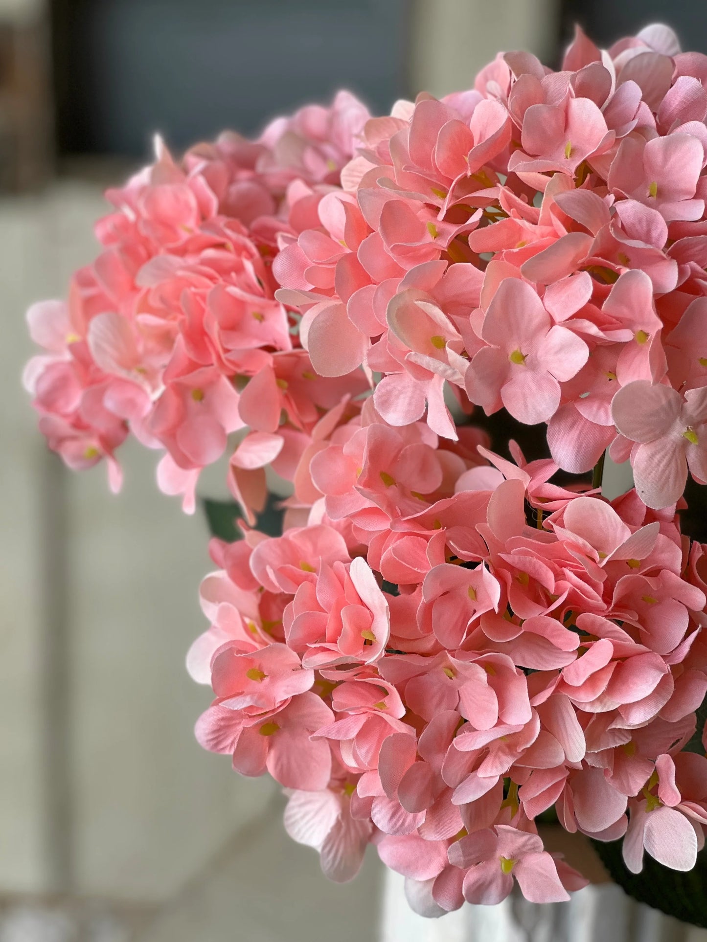Harkness Hydrangea | 19.5" | Pink