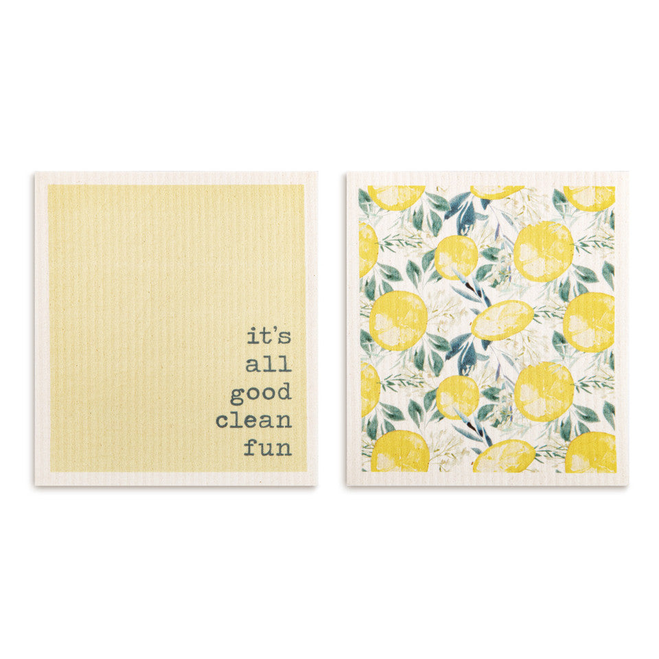 Biodegradable Dish Cloths Set of 2