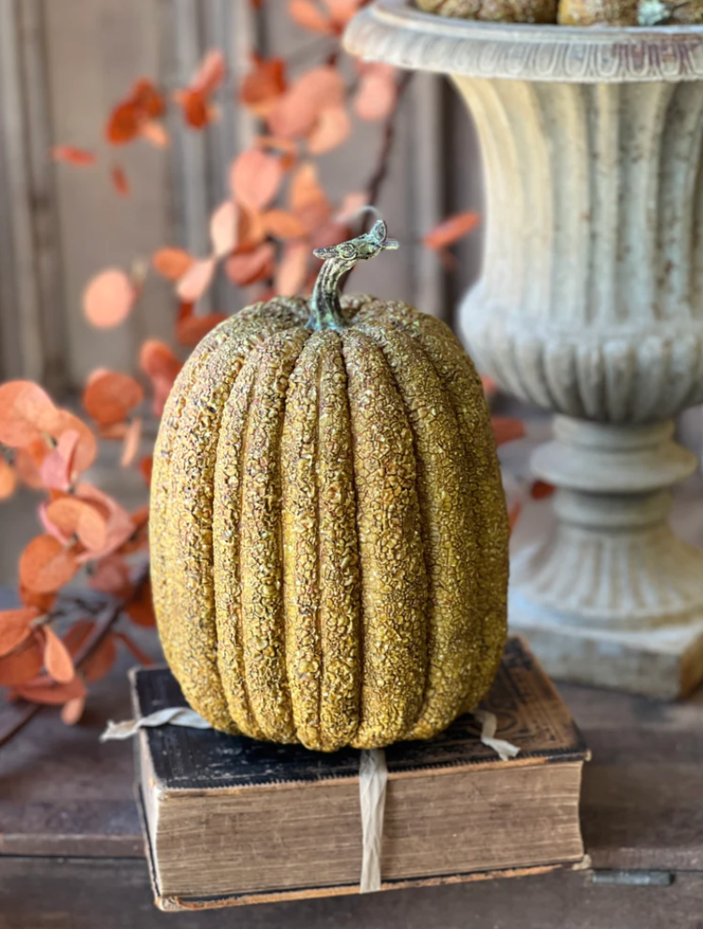 Furrowed Fields Pumpkin