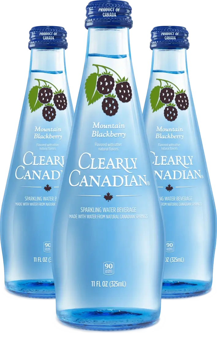 Clearly Canadian Sparkling Water - Mountain Blackberry Sparkling Water