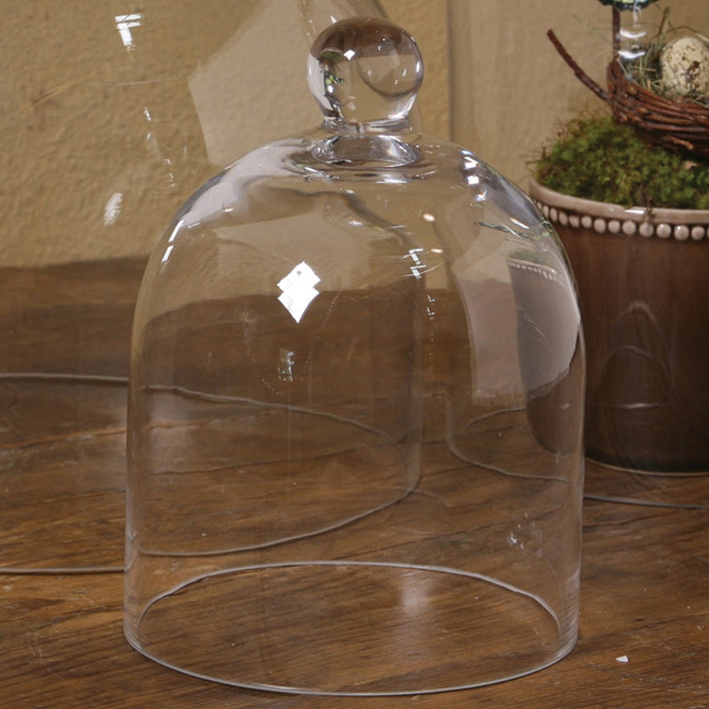 Glass Dome- Small/ Clear