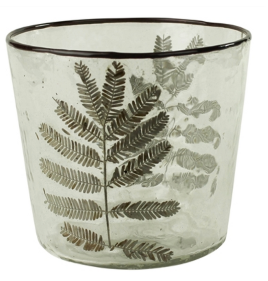 Enameled Fern Hurricane